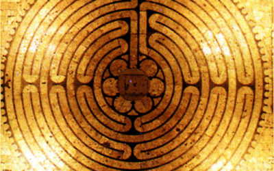 Les actualités de l’Arbre Serpent : octobre et début novembre 2017