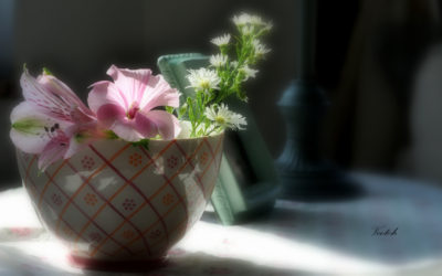 Spiritualise ton Miracle Morning