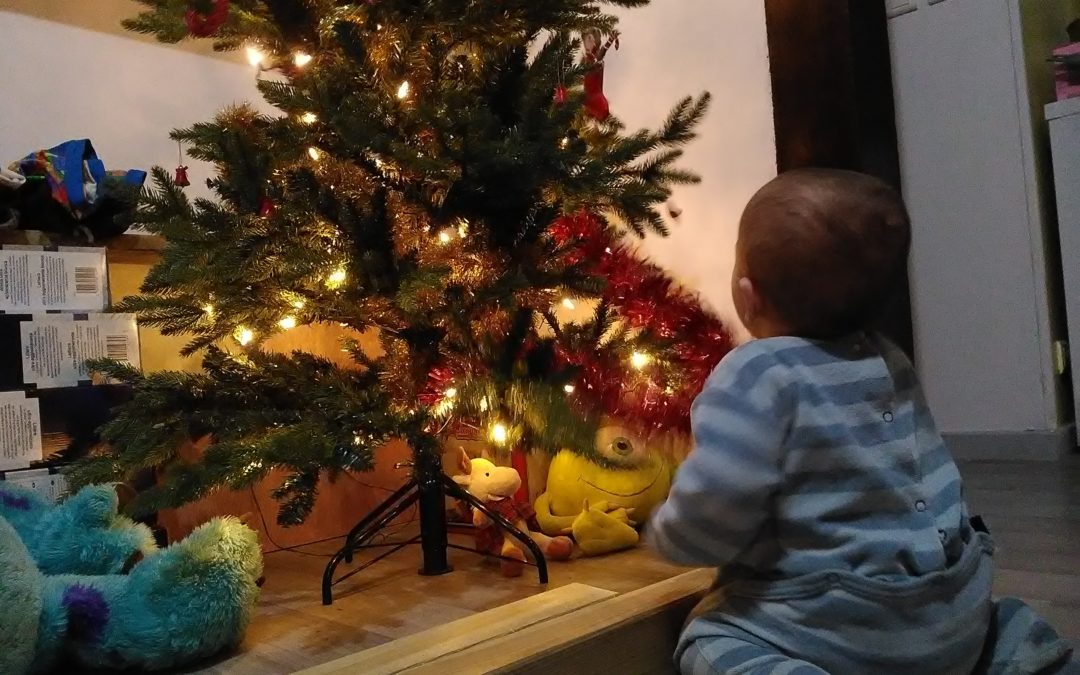 Comment ritualiser avec des enfants – Les rites et célébrations de la roue de l’année, Jane Meredith