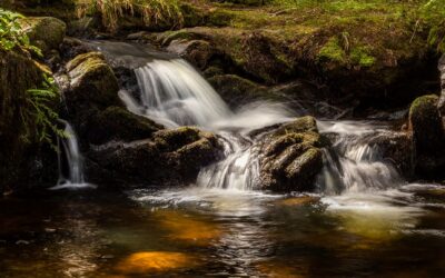 3 rituels simples pour gens pressés – au bord de l’eau