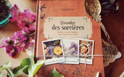 Ca veut dire quoi, Sorcière ? Le Vivendier des Sorcières, par Xenia Vetsera 2/2 – L’Interview !